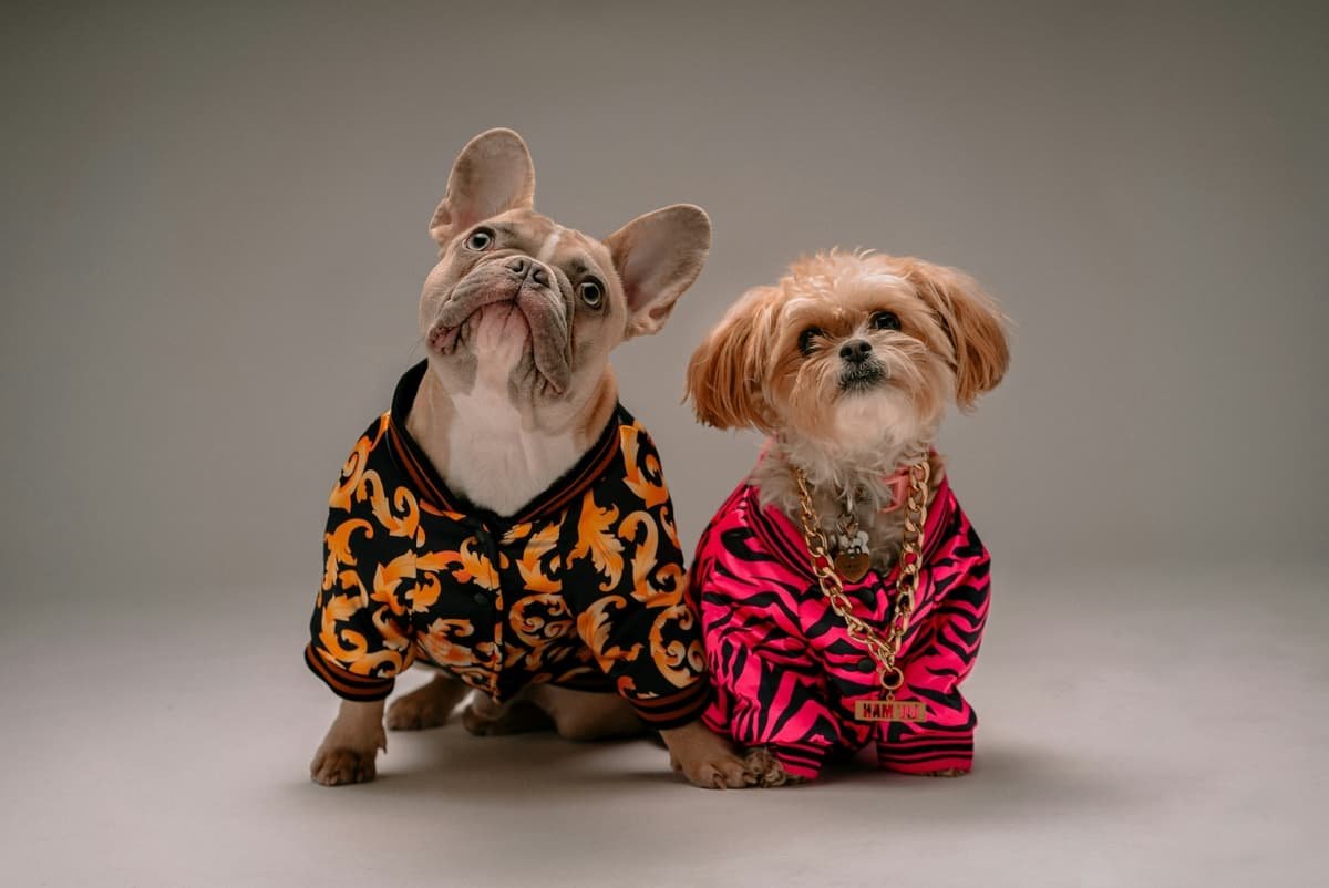 sell pet clothes on shopify