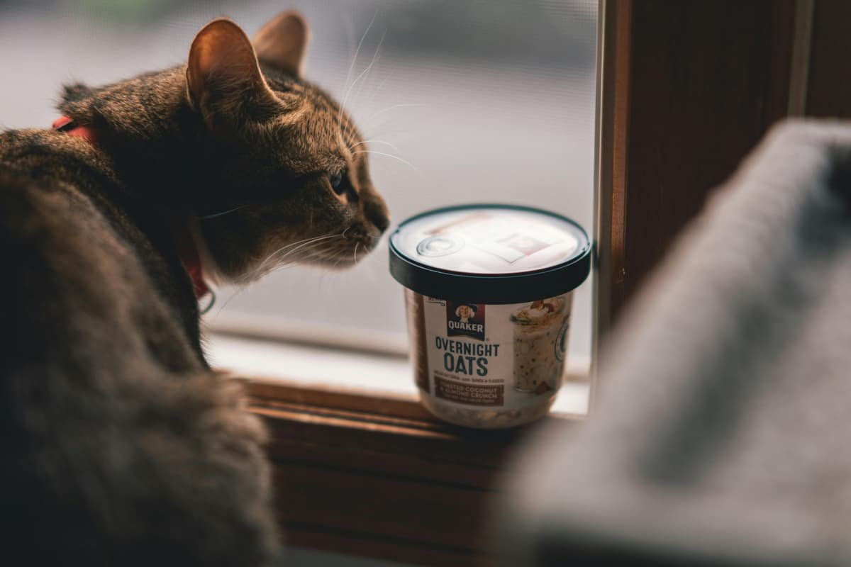 pet food are selling on shopify